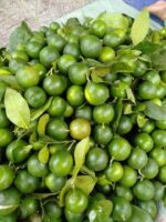 Fresh / Dry Limes - Image 4