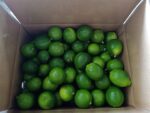 Fresh / Dry Limes - Image 3