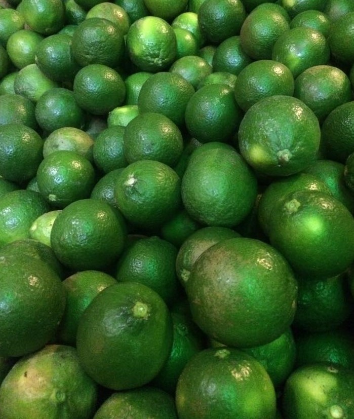 FRESH-SEEDLESS-LIMES-FROM-VIETNAM Fresh / Dry Limes - Image 1