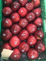 Apple Fruit - Image 2