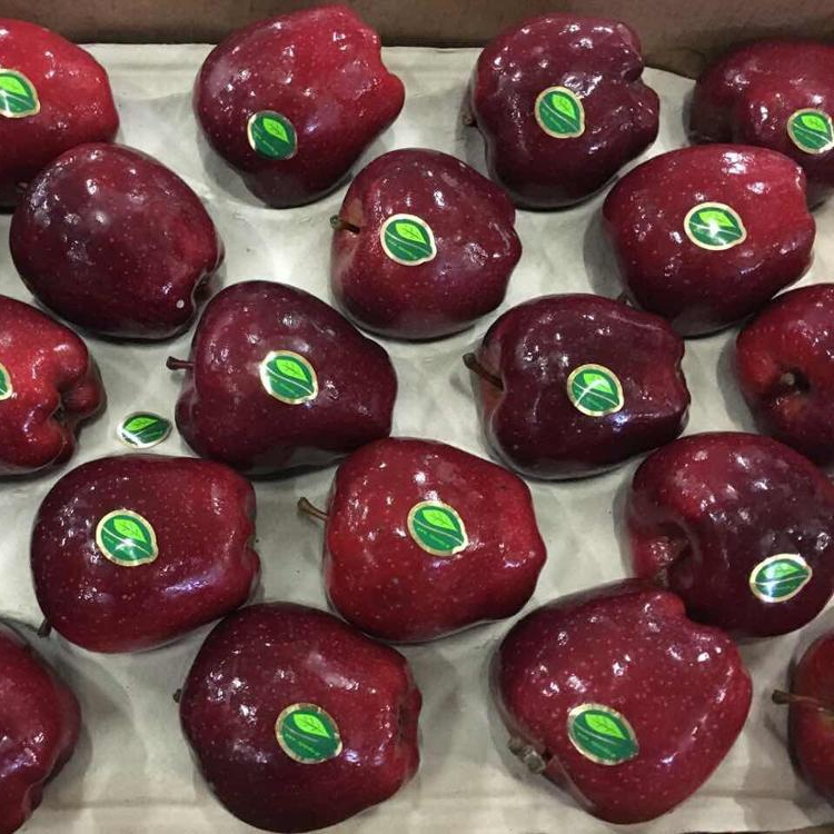 Fresh-Apples-Red-Chief-Red-Delicious-Greek Apple Fruit - Image 1