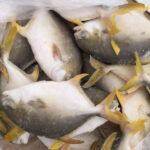 Frozen Pomfret - Image 2