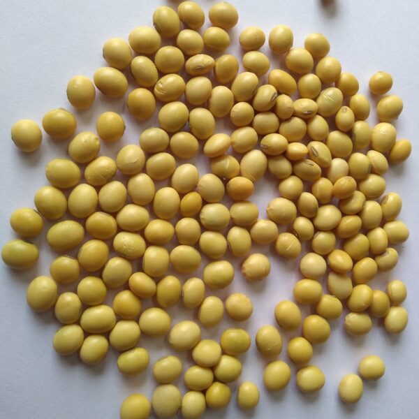 Soybeans